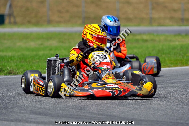 DSC_ (231).jpg